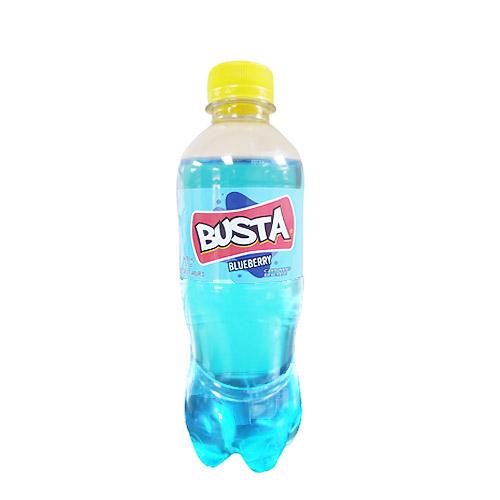 Busta Blueberry 500ml