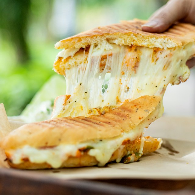 Cheese Panini