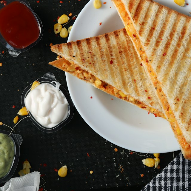 Tuna Melt Panini
