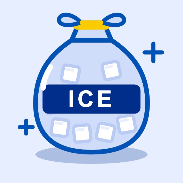 Ice Bag 10lb (5kg)